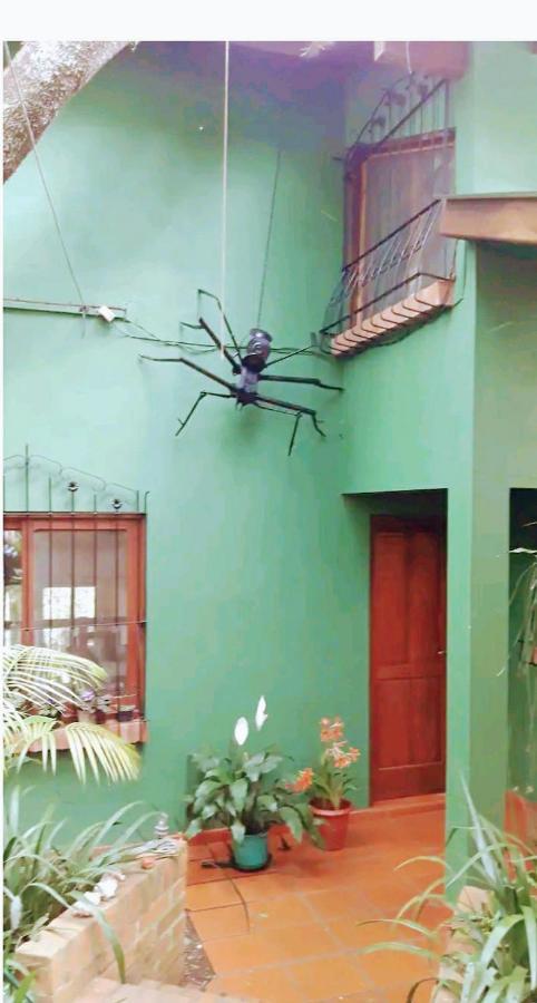 Jardin De Naipi 3 Lägenhet Puerto Iguazú Exteriör bild