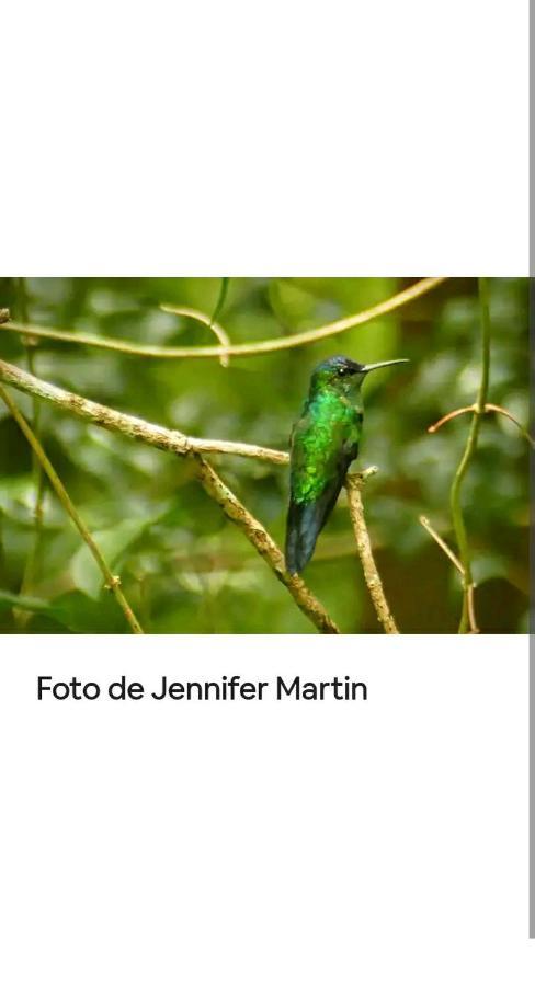 Jardin De Naipi 3 Lägenhet Puerto Iguazú Exteriör bild